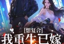 想复合?我重生已嫁超级豪门这本小说怎么样?免费在线阅读试试-红梅文学