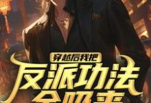 穿越后我把反派功法全吸来小说免费资源,穿越后我把反派功法全吸来在线阅读-红梅文学