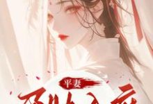 宋徽音完整版《平妻孕肚入府,她休夫绝不原谅》小说免费阅读-红梅文学