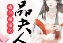 琳琅许远风小说免费阅读完整版-红梅文学