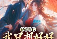 穿越古代，我只想好好发家致富完整版小说，穿越古代，我只想好好发家致富免费阅读-红梅文学