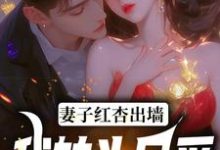 完结版《妻子红杏出墙,我转头另爱》章节目录在线阅读-红梅文学