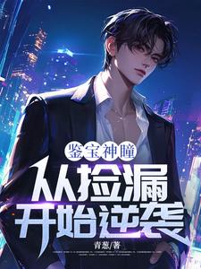 鉴宝神瞳：从捡漏开始逆袭这本小说怎么样？免费在线阅读试试