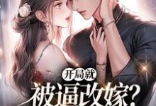 开局就被逼改嫁?我转身去寻夫(沈菱陆越)完整版在线免费阅读-红梅文学