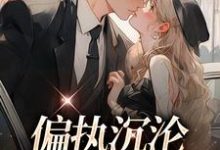 小说《偏执沉沦:学长,晚上见》章节免费阅读-红梅文学