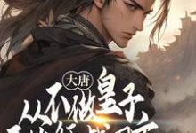 大唐:从不做皇子开始征战四方李承乾小说在线章节目录阅读最新章节-红梅文学