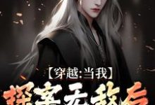苏清和小说在线章节免费阅读(穿越:当我探案无敌后,身份被爆了无弹窗无删减)-红梅文学
