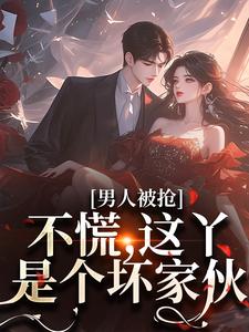 《男人被抢？不慌，这丫是个坏家伙》夏晓禾小说免费阅读完整版