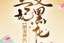 在线免费阅读团宠神医:王爷,王妃又黑化了完整小说-红梅文学