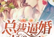 小说《总裁逼婚100次》完整版在线章节免费阅读-红梅文学