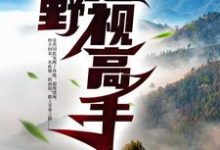 在线免费阅读山野透视高手完整小说-红梅文学