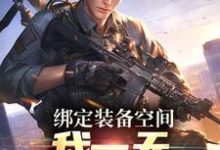 免费在线阅读绑定装备空间,我一天剿灭匪寇小说的正规网站有哪些?-红梅文学