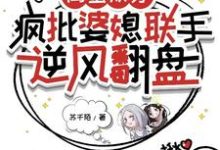 闺蜜双穿:疯批婆媳联手逆风翻盘小说的所有章节都能在哪里免费读到?-红梅文学