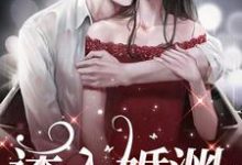 诱入婚渊夏晴高落衡小说完结版章节在线阅读-红梅文学