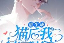 闻宋秦时小说叫什么(重生成猫后我踹了影帝完整版免费阅读)-红梅文学