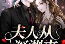 《夫人从深渊来》全集免费在线阅读（简茵熹傅霆灏）-红梅文学