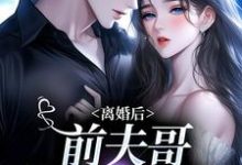 哪里可以免费找到离婚后,前夫哥苦等我回头?-红梅文学