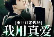重回订婚现场,我用真爱报以情这本小说怎么样?免费在线阅读试试-红梅文学