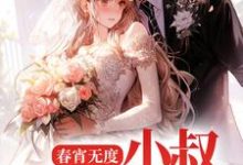 求推荐可以免费阅读春宵无度:小叔宠我上天小说的网站-红梅文学