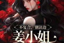 姜晚漓顾玉白小说《不复合，别沾边，姜小姐又美又飒》在线阅读-红梅文学