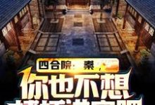 四合院:秦,你也不想棒梗进牢吧小说的免费阅读版本在哪里可以找到?-红梅文学