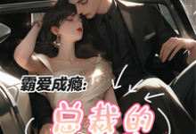 叶沁江浩城小说《霸爱成瘾:总裁的小逃妻》完整版免费阅读-红梅文学