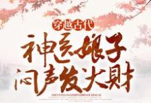 穿越古代,神医娘子闷声发大财(林紫芙)完整版在线免费阅读-红梅文学