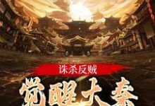 嬴启完整版小说免费阅读-红梅文学