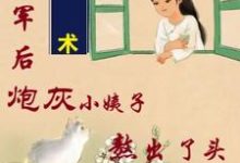 姐随军后,炮灰小姨子熬出了头完整版小说,姐随军后,炮灰小姨子熬出了头免费阅读-红梅文学