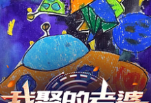 韩状克莱尔完整版《我娶的老婆在过去》小说免费阅读-红梅文学