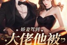 娇妻驾到，大佬他被仨娃整顿小说最新章节在哪里可以读到？-红梅文学
