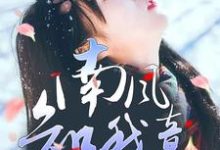小说《南风知我意,生生盼霄北》章节免费阅读-红梅文学