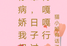 你病娇我超雄,日子过得嘎嘎行楚停澜傅南渊小说免费阅读-红梅文学