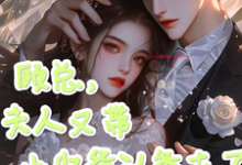 顾知衍苏禾小说《顾总,夫人又带小少爷认爹去了》完整版免费阅读-红梅文学