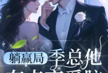 季泊简林乐之完整版小说免费阅读-红梅文学
