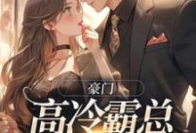 苏颜汐傅霖宸小说完结版在线阅读,豪门:高冷霸总别太宠免费看-红梅文学