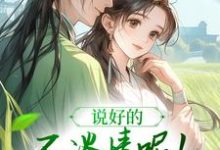 《说好的不谈情呢!王爷请自制》风潇潇陆舟渊完整版小说免费阅读-红梅文学