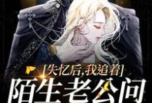 失忆后,我追着陌生老公问相爱过程小说有没有完结版在线?-红梅文学