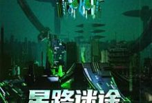 星路迷途:探索异界文明王禹小说免费阅读-红梅文学