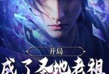 开局成了圣地老祖,我走废材流小说有没有完整的免费版本在线阅读?-红梅文学