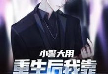 《小警大用:重生后我靠破案平步青云》小说免费阅读完整版-红梅文学