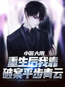 《小警大用：重生后我靠破案平步青云》小说免费阅读完整版