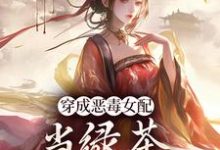 乔挽颜小说在线章节免费阅读(穿成恶毒女配,当绿茶这么有趣?无弹窗无删减)-红梅文学