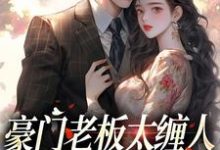 完结版《豪门老板太缠人，为她折腰为她疯》在线免费阅读-红梅文学