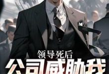 林恒小说领导死后,公司威胁我污蔑他完整版阅读-红梅文学