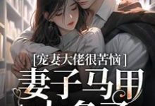宠妻大佬很苦恼,妻子马甲太多了!秦婠霍霆骁小说大结局免费试读-红梅文学