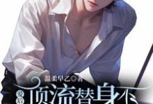 顶流替身不爱后,渣男变舔狗了柳淮秋,顶流替身不爱后,渣男变舔狗了在线无弹窗阅读-红梅文学