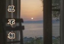 唯愿不相识小说无弹窗阅读的网站推荐-红梅文学