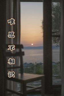 唯愿不相识小说无弹窗阅读的网站推荐