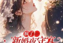 疯了!新婚夜守寡,疯批亡夫回来了小说完结了吗?在哪里可以免费读到?-红梅文学